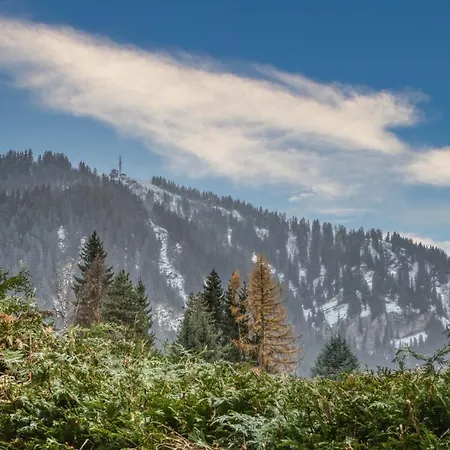 Le Petit Coeur De -mont770- Daire *