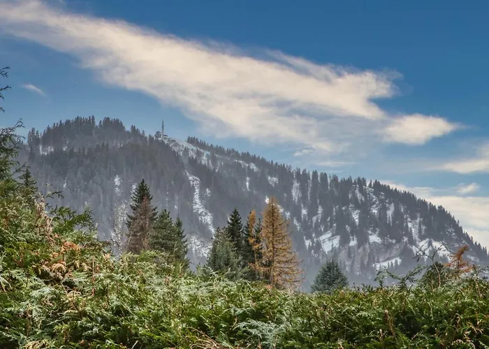 Le Petit Coeur De -mont770- Lejlighed *